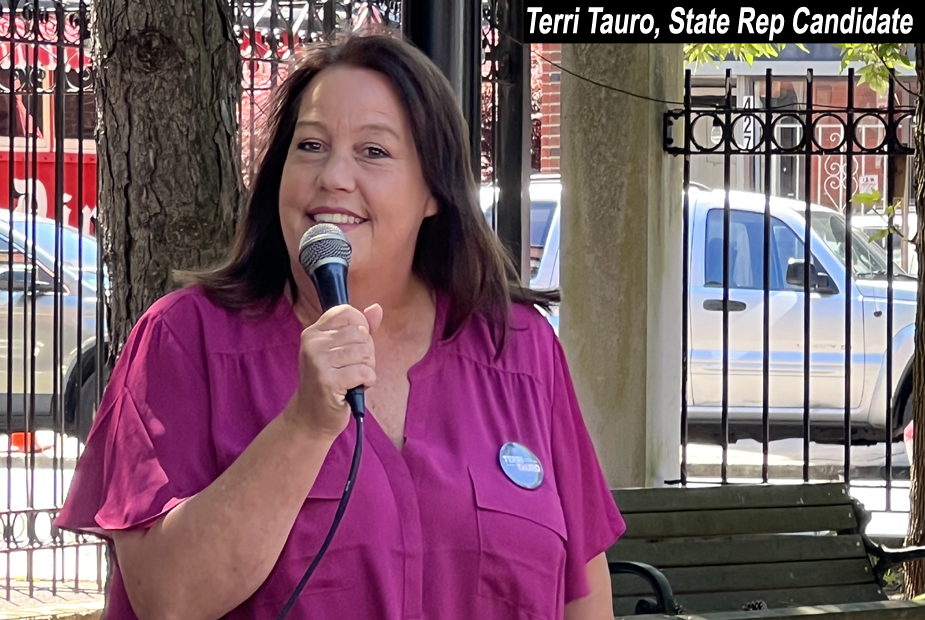 Terri Tauro, State Rep Candidate